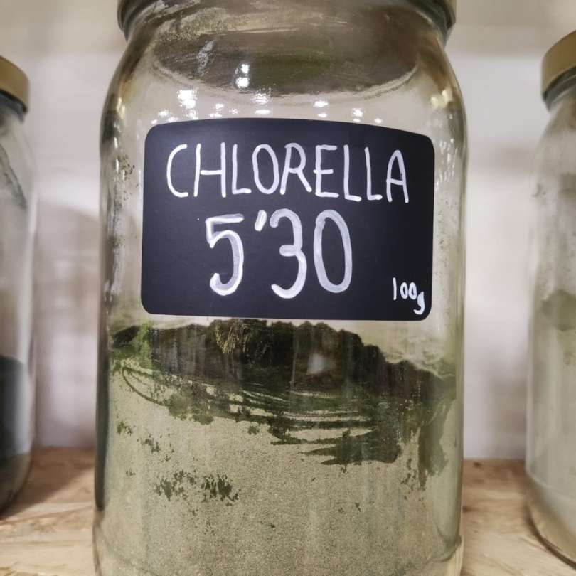 Chlorella Polvo